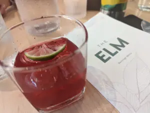 The Elm Bloomington