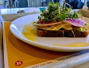 avocado-toast-hive