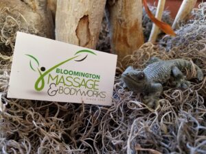 Bloomington Massage & Body Works - Logo