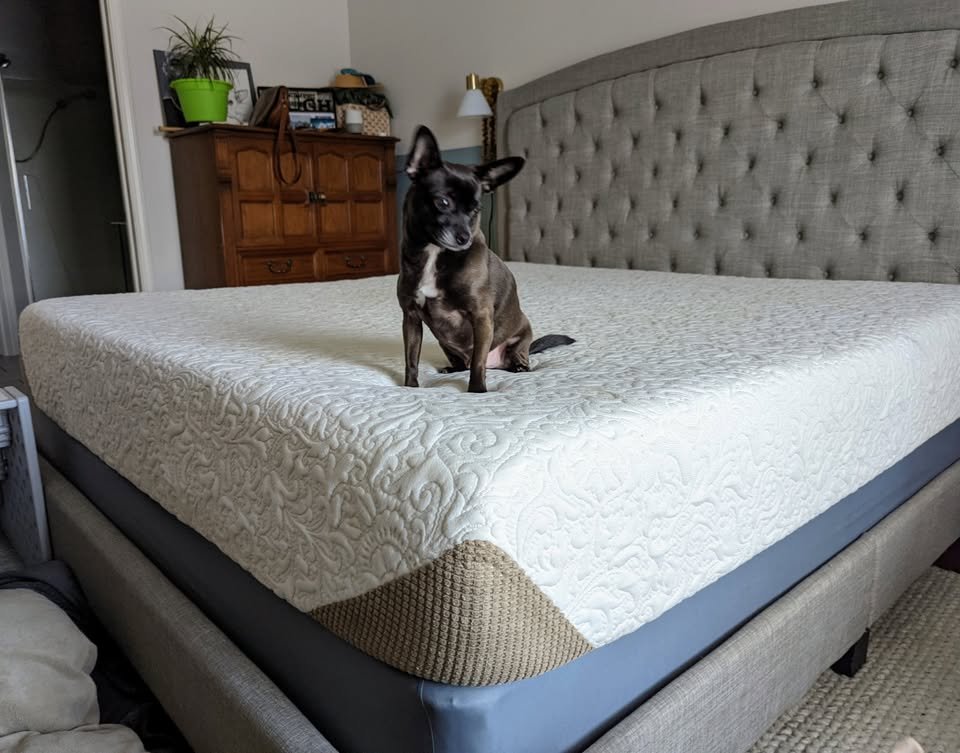 King Upholstered Tufted Bed Frame & Headboard, Gray (photo 2)