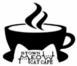 Btown Meow Cat Cafe in Bloomington, Indiana