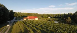 Butler Winery & Vineyard in Bloomington, Indiana