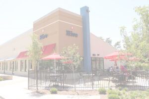 Hive in Bloomington, Indiana