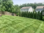 Bloomington Lawn Care and Landscaping