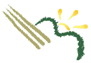 Primary Sound Studios logo, abstract line art of golden sound waves and a green vine with sun rays