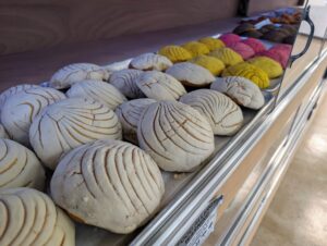 pan-nito-bakery-conchas-display-case