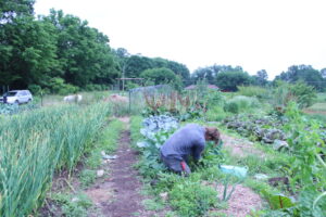 Sobremesa Farm in Bloomington, Indiana