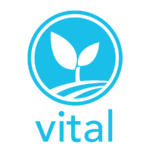 VITAL - Volunteers in Tutoring Adult Learners